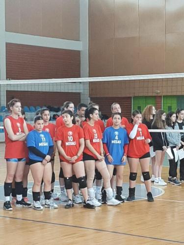 Τουρνουά Volleyball